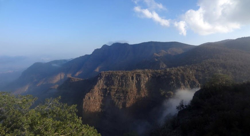 Day Forest National Park, Djibouti